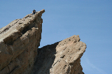 vasquez rocks065