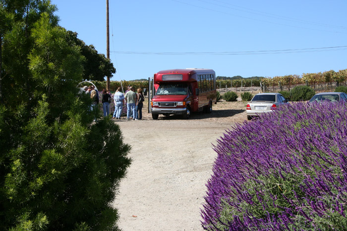 052 SLO wine tour