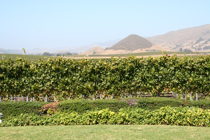 056 SLO wine tour