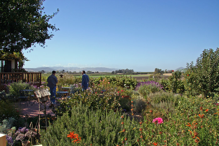 066 SLO wine tour