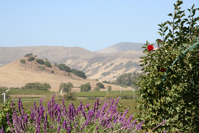 073 SLO wine tour
