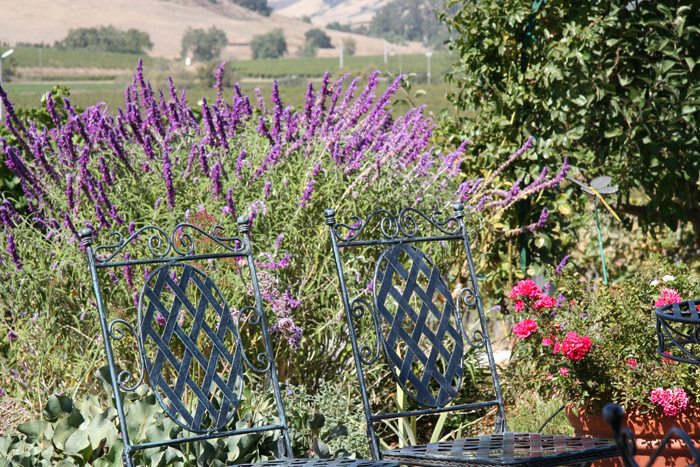 074 SLO wine tour