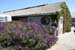037 SLO wine tour