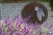 038 SLO wine tour