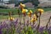 041 SLO wine tour