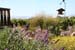 072 SLO wine tour