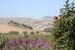 073 SLO wine tour