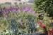 074 SLO wine tour