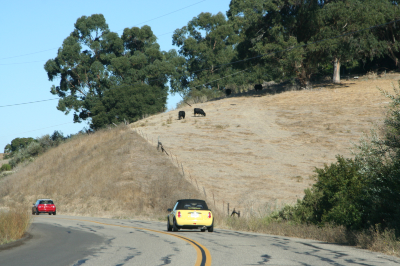 Solvang and more083