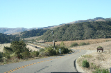 Solvang and more004