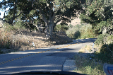 Solvang and more015