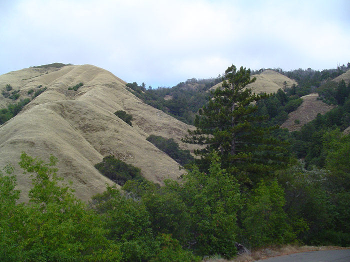 118 on the way to Mon#BFD90