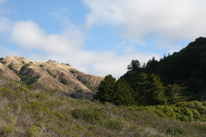 134 on the way to Mon#BFEBC