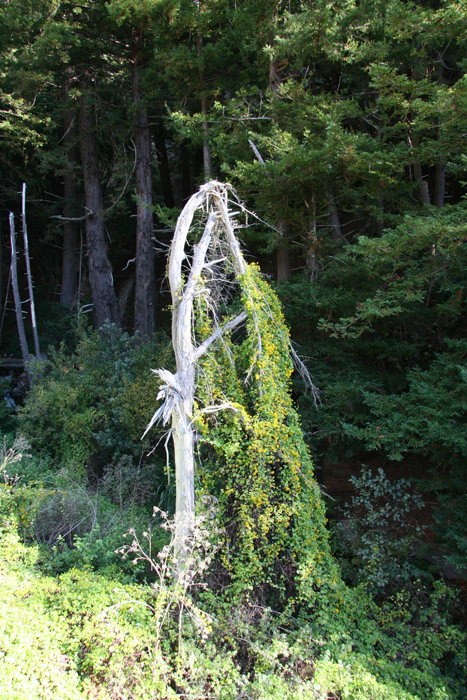 174 on the way to Mon#BFE76